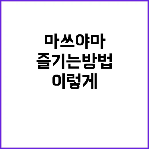 마쓰야마를 제대로 …