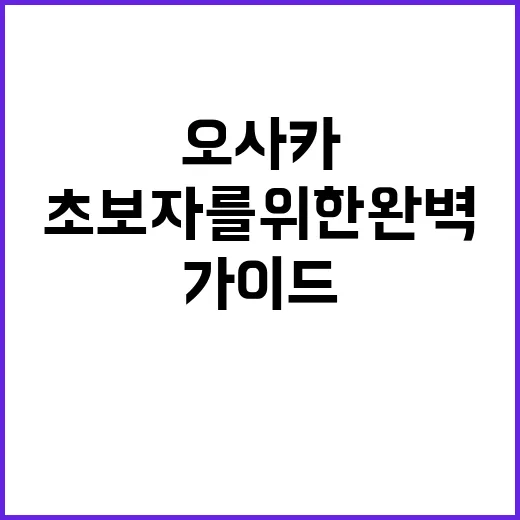 오사카 여행, 초보…