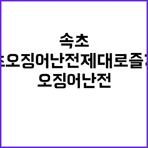 속초 오징어난전 제…