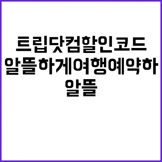 트립닷컴 할인코드로 알뜰하게 여행 예약하는 방법