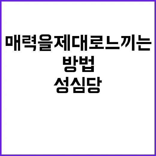 성심당의 매력을 제…