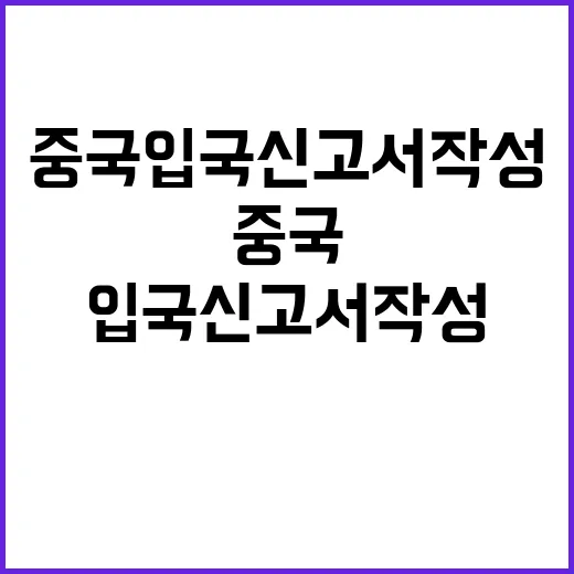 중국 입국신고서 작…