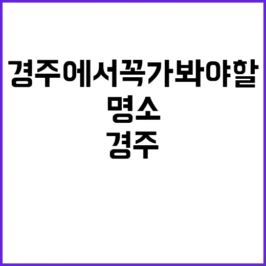경주에서 꼭 가봐야…