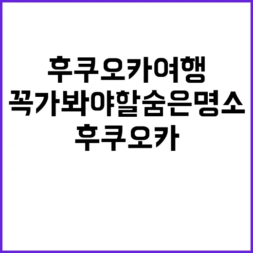 후쿠오카 여행: 꼭…