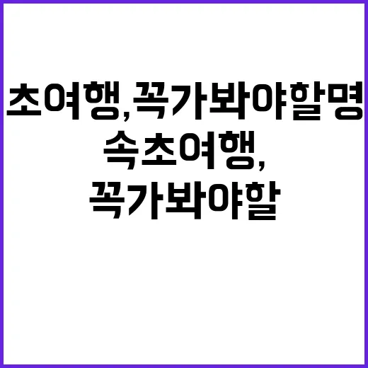 속초 여행, 꼭 가…