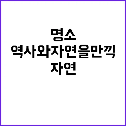 경주에서 꼭 방문해…