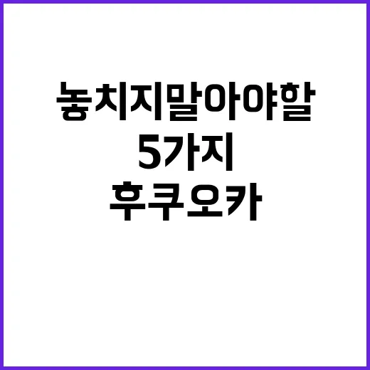 후쿠오카에서 쇼핑할…