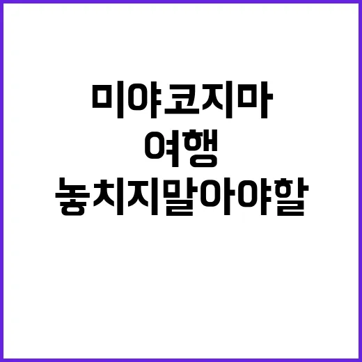 미야코지마에서 놓치…