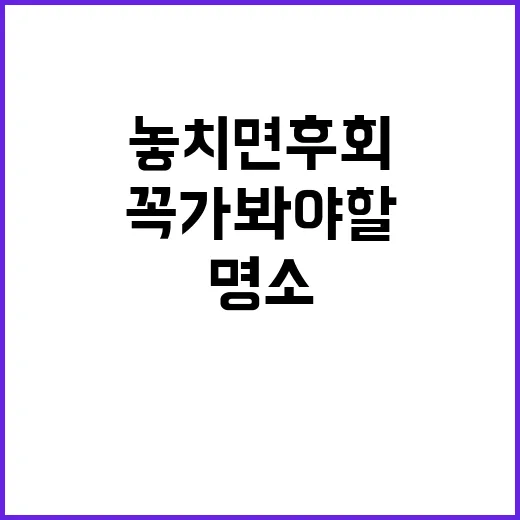 속초에서 꼭 가봐야…