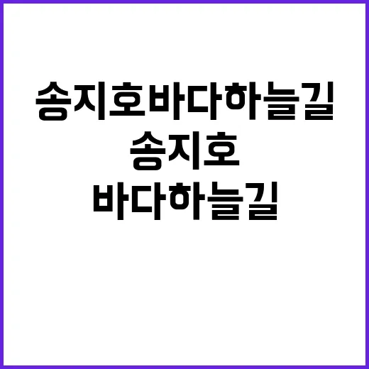 송지호 바다하늘길을…