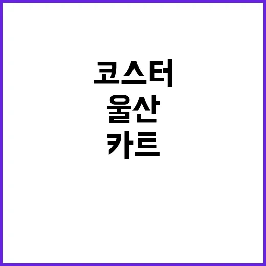 울산 코스터카트 즐…