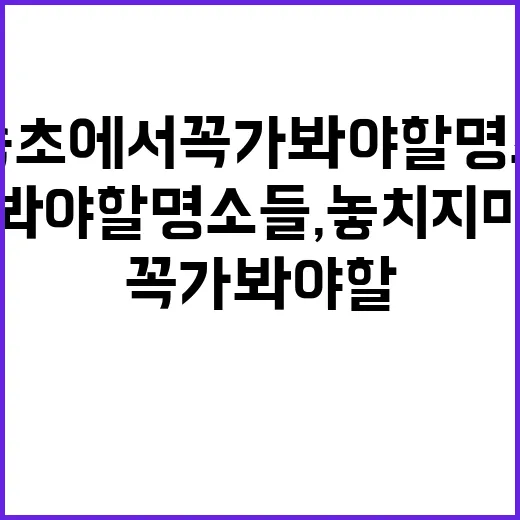 속초에서 꼭 가봐야…