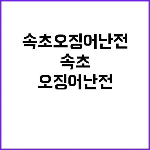 속초 오징어난전 구…