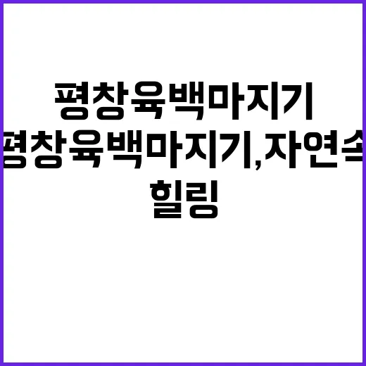평창 육백마지기, 자연 속에서 힐링하는 방법