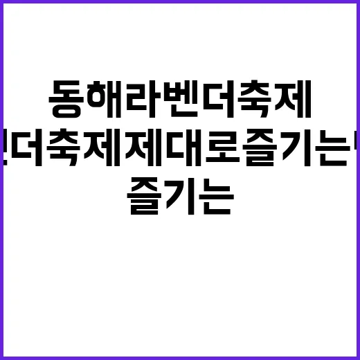 동해 라벤더축제 제…