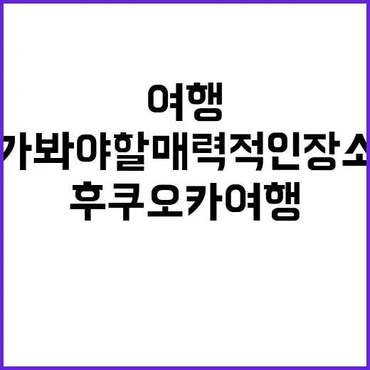 후쿠오카 여행: 꼭…