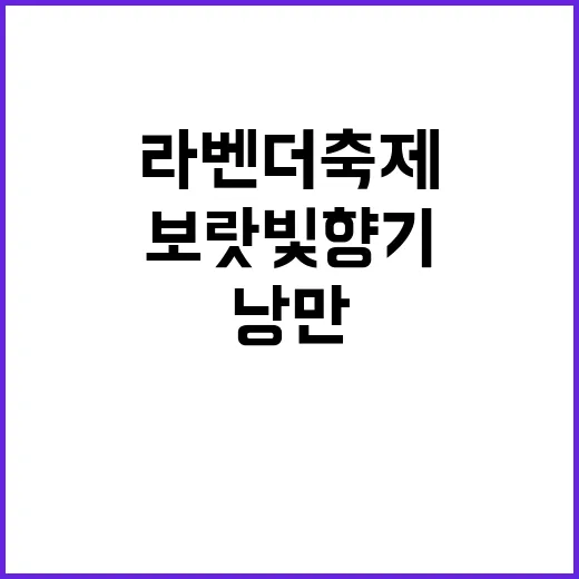 라벤더축제에서 만나는 보랏빛 향기의 낭만