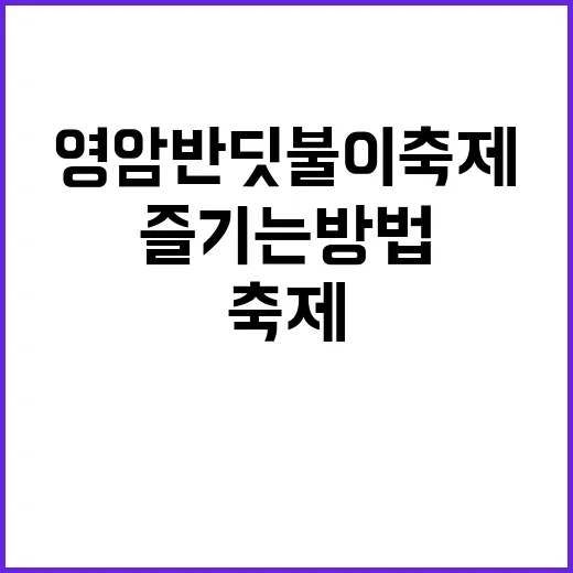 영암 반딧불이축제 제대로 즐기는 방법