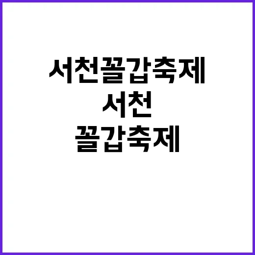 서천 꼴갑축제 제대로 즐기는 방법