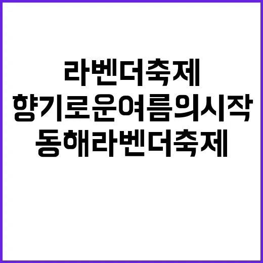 동해 라벤더축제 즐기는 방법, 향기로운 여름의 시작