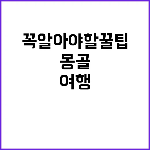 몽골 여행을 즐기는 방법: 꼭 알아야 할 꿀팁