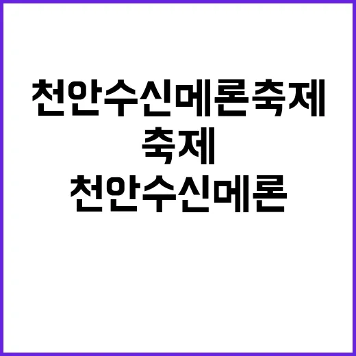 천안 수신메론축제, 이렇게 즐기세요!