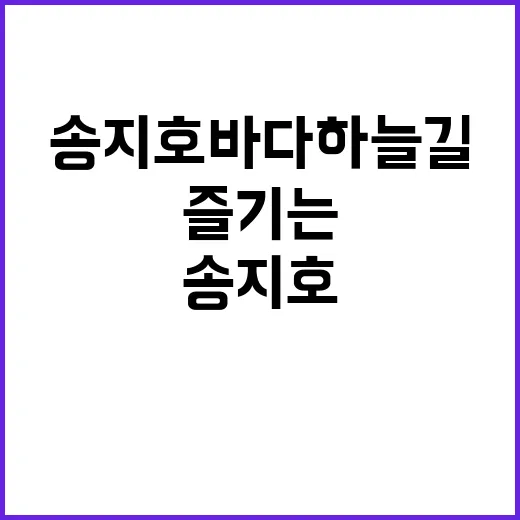 송지호 바다하늘길을…
