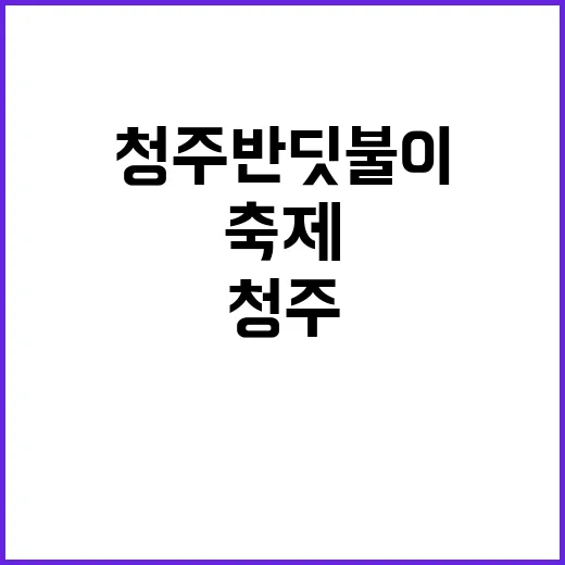청주 반딧불이 축제를 제대로 즐기는 방법