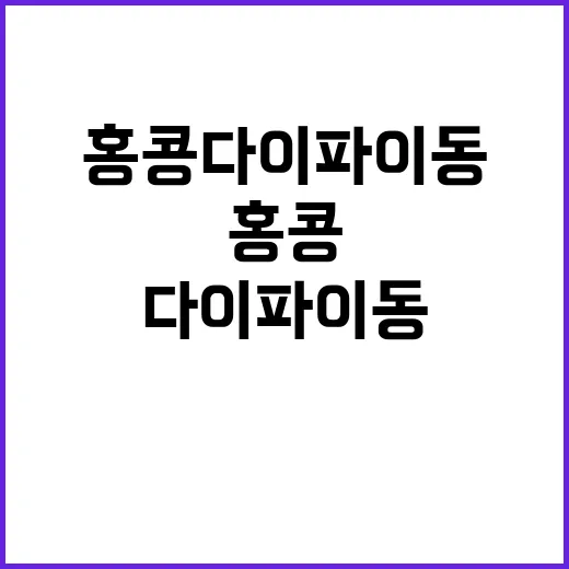 홍콩 다이파이동을 …