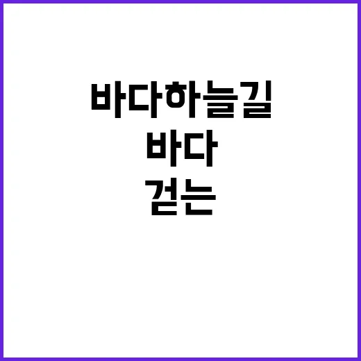 송지호 바다하늘길, 걷는 법과 즐기는 팁
