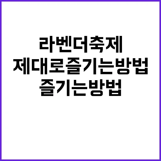 라벤더 축제를 제대로 즐기는 방법