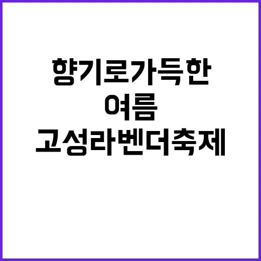 고성 라벤더축제, …