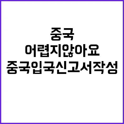 중국 입국신고서 작…