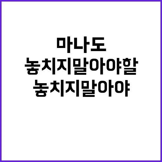 마나도에서 놓치지 말아야 할 경험들