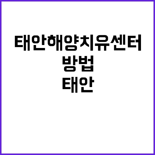 태안해양치유센터를 …