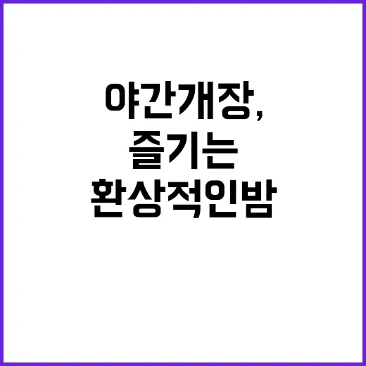 경복궁 야간개장, …