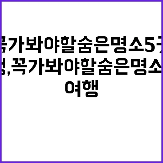 오사카 여행, 꼭 가봐야 할 숨은 명소 5곳
