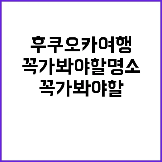 후쿠오카 여행: 꼭 가봐야 할 명소들