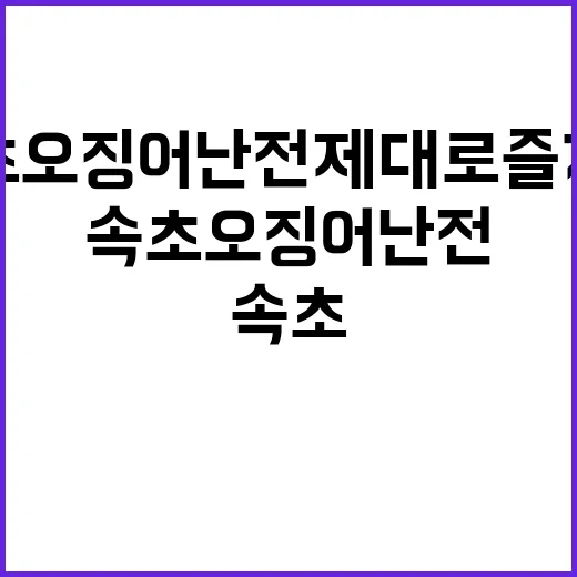 속초 오징어난전 제…