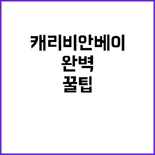 캐리비안베이에서 즐…
