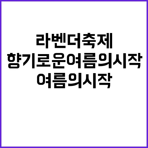 라벤더축제 즐기기:…