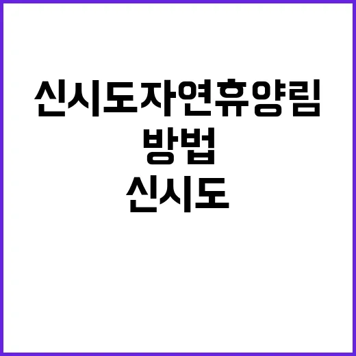 신시도자연휴양림에서 힐링하기 좋은 방법