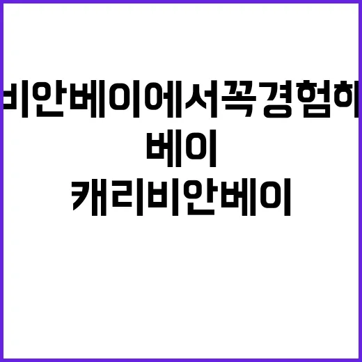 캐리비안베이에서 꼭…