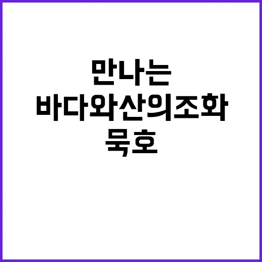 묵호 여행: 바다와…