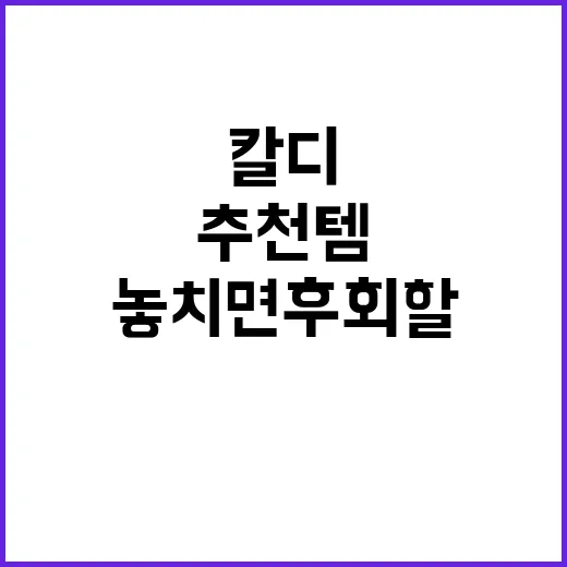 칼디에서 놓치면 후회할 추천템 베스트 5