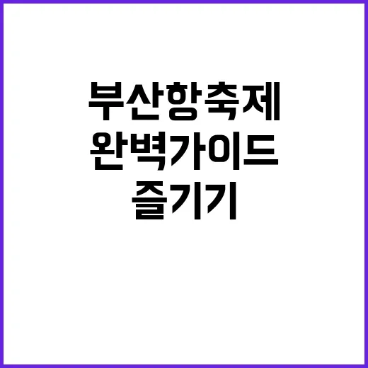 부산항 축제 즐기기: 초보자를 위한 완벽 가이드