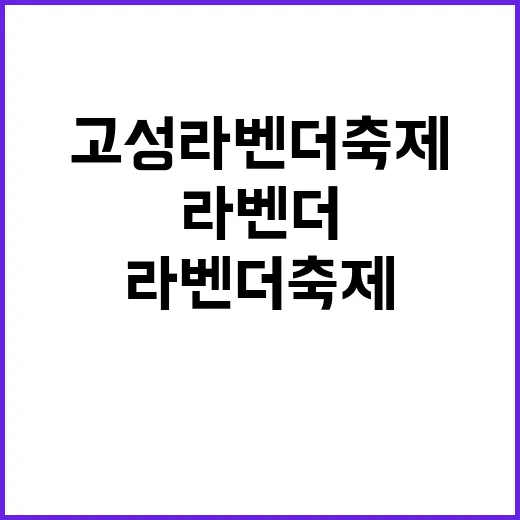 고성 라벤더축제에서…