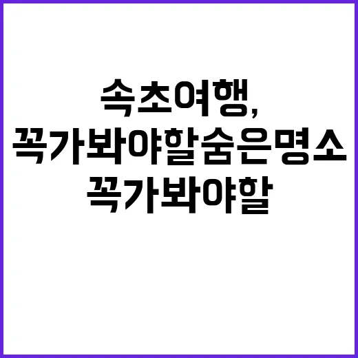 속초 여행, 꼭 가…