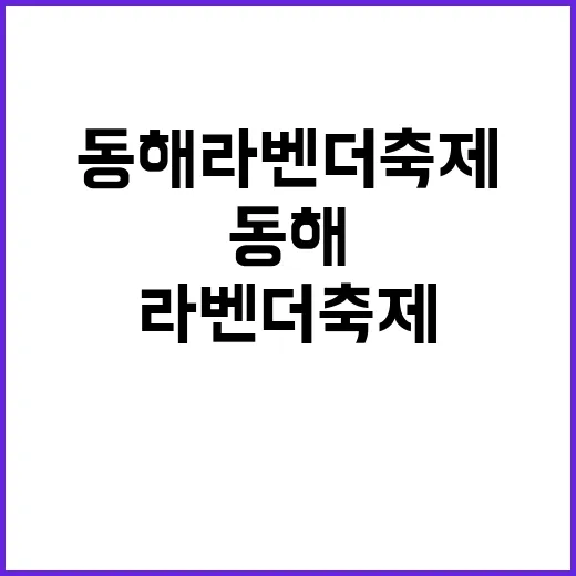 동해 라벤더축제 즐…