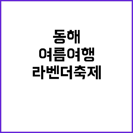 동해 라벤더축제 즐…